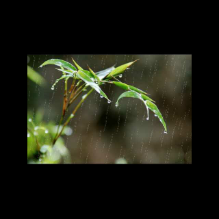 雨天小记