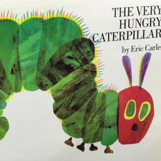 英文绘本《The very  hungry  caterpillar 》-好饿的毛毛虫