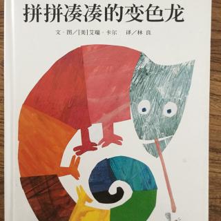 拼拼凑凑的变色龙