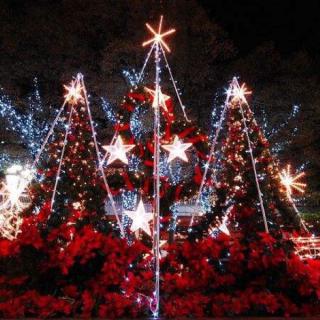 Merry Christmas & Happy New Year🎄
