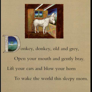 18 Donkey,donkey,old and gray