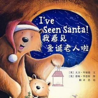 423【节日故事】我看见圣诞老人啦！