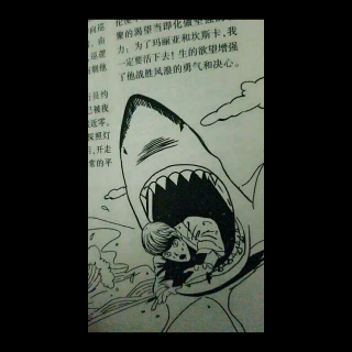 怒海搏鲨