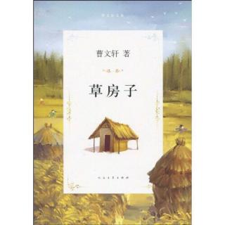 《草房子》一、《秃鹤》4