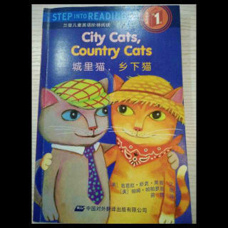 City Cats, Country Cats 城里猫乡下猫