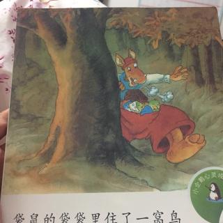 袋鼠的袋袋里住了一窝鸟