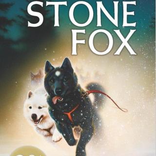 儿童小说StoneFox03