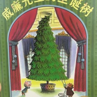 兔兔老师讲故事～威廉先生的圣诞树