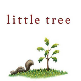 Little tree 不掉树叶的小树