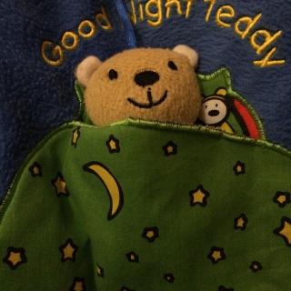 Good Night Teddy