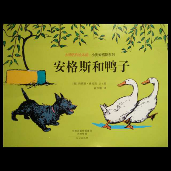 安格斯和鸭子