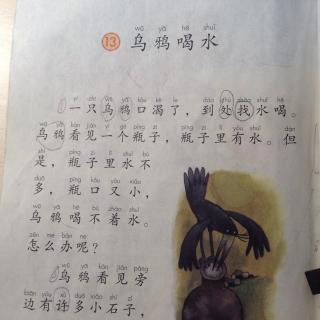 《乌鸦喝水》