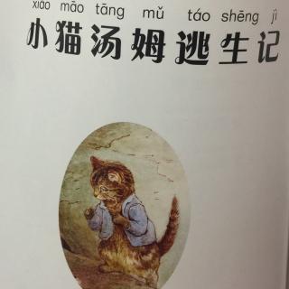 小猫汤姆逃生记