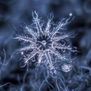 雪花的快乐