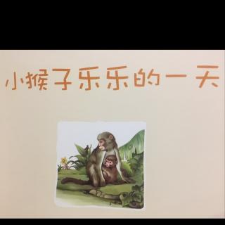 幼儿睡前故事 小猴子乐乐的一天