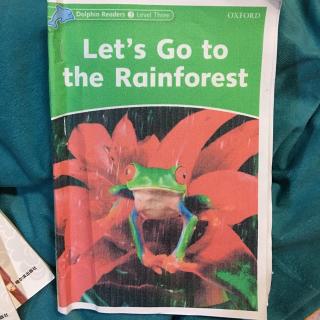 Let's go to the rainforest