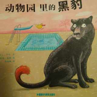 动物园里的黑豹