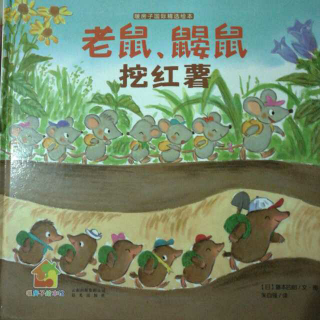 老鼠、鼹鼠挖红薯🐭🐭