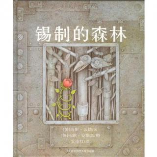 绘本故事《锡制的森林》(梦想可以开花，理想的人生需要创造)