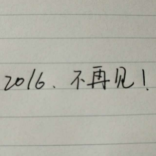 2016,不再见！