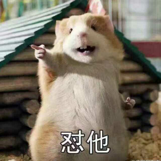 嗨嗨嗨