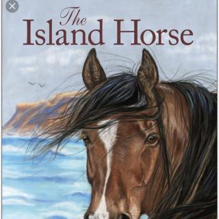 The Island Horse - 11