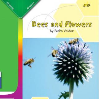 Bees and flowers 12/30