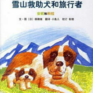 故事《雪山救助犬和旅行者》