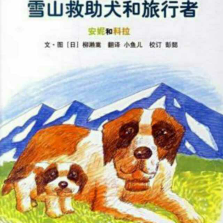 故事提问《雪山救助犬和旅行者》