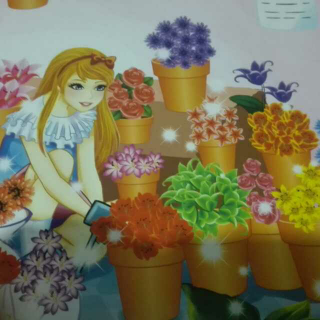 红石竹花