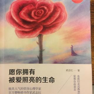 《愿你拥有被爱照亮的生命》定律五（上）