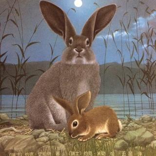 晚安故事：再见，小兔子