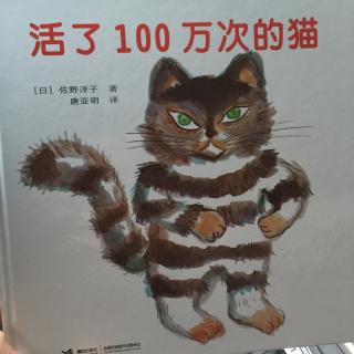 201.活了100万次的猫🐱