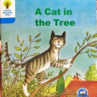 3-10 A cat in the tree