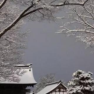 冬雪·在深冬里轻念雪花的飞舞～子禾