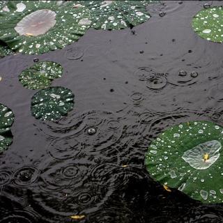 雨中飘荡的回忆