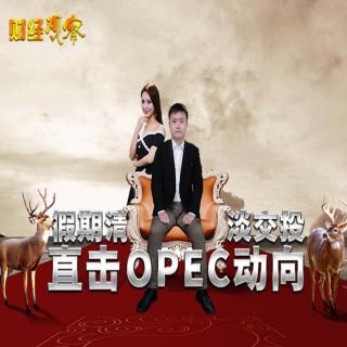 快讯通财经 财经观察 假期清淡交投 直击OPEC动向