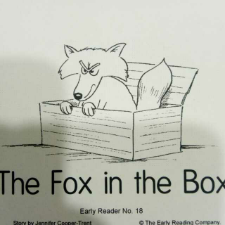 The Fox in the Box