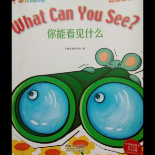 What can you see?