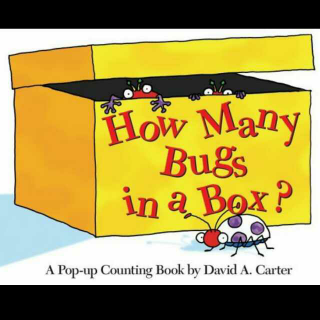 【妈妈读故事】How Many Bugs in a Box