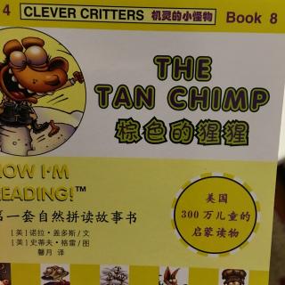 the tan chimp