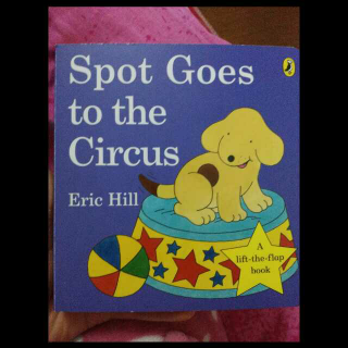 spot goes to the circus