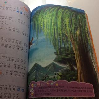 24、荞麦