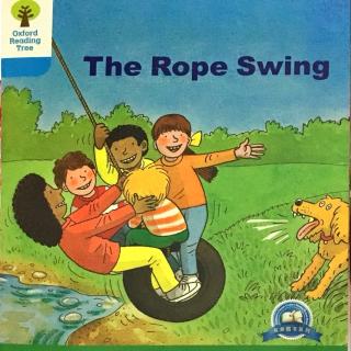 3-11 The rope swing