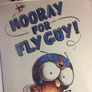 hooray for fly guy