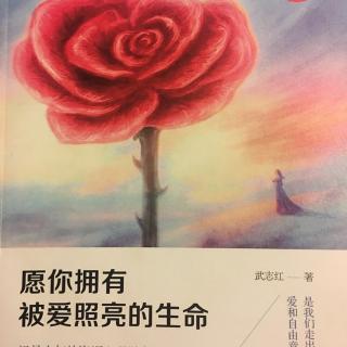 《愿你拥有被爱照亮的生命》定律五（中）