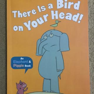 There is a bird on your head