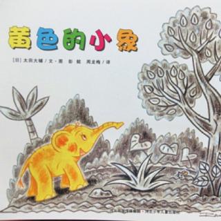 2Y1M 《黄色的小象》| 铃木绘本：郁金香系列