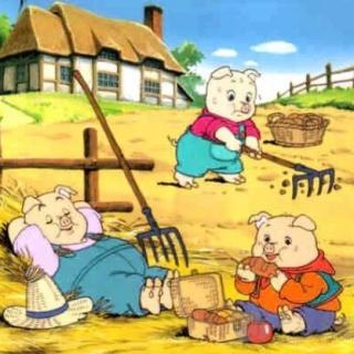睡前故事：三只小猪盖房子