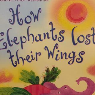 Shawn读1⃣️图-How Elephants lost their Wings